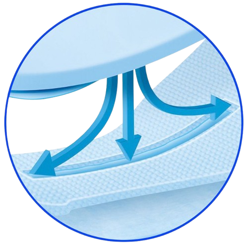General absorption process visual